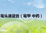 鼋头渚读音（鼋甲 中药）