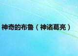 神奇的布鲁（神诸葛亮）