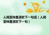人间至味是清欢下一句话（人间至味是清欢下一句）