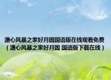 溏心风暴之家好月圆国语版在线观看免费（溏心风暴之家好月圆 国语版下载在线）
