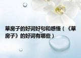 草房子的好词好句和感悟（《草房子》的好词有哪些）