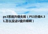 ps3系统升级失败（PS3升级4.31,怎么没法U盘升级啊）