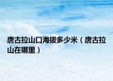 唐古拉山口海拔多少米（唐古拉山在哪里）