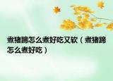 煮猪蹄怎么煮好吃又软（煮猪蹄怎么煮好吃）