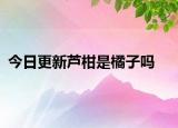 今日更新芦柑是橘子吗