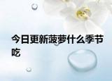 今日更新菠萝什么季节吃