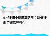 dnf按哪个键用复活币（DNF按那个键截屏呢?）