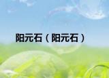 阳元石（阳元石）