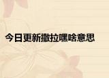 今日更新撒拉嘿啥意思