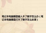 笔记本电脑键盘输入不了数字怎么办（笔记本电脑键盘打不了数字怎么处理）