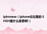 iphonese（iphone论坛里的 SHSH是什么意思啊!）