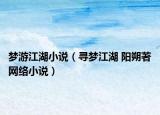 梦游江湖小说（寻梦江湖 阳朔著网络小说）