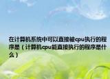 在计算机系统中可以直接被cpu执行的程序是（计算机cpu能直接执行的程序是什么）