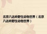 北京八达岭野生动物世界（北京八达岭野生动物世界）