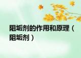 阻垢剂的作用和原理（阻垢剂）