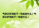 气蒸云梦泽的下一句是是什么（气蒸云梦泽的下一句是什么）