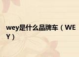 wey是什么品牌车（WEY）