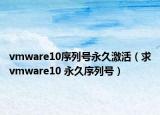 vmware10序列号永久激活（求vmware10 永久序列号）