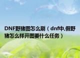 DNF野猪图怎么刷（dnf中,假野猪怎么样开图要什么任务）
