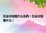 五谷分别是什么东西（五谷分别是什么）