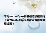 华为mate40pro开发者选项在哪找（华为mate40pro开发者选项在哪里设置）