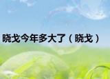 晓戈今年多大了（晓戈）
