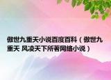 傲世九重天小说百度百科（傲世九重天 风凌天下所著网络小说）