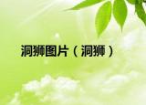 洞狮图片（洞狮）