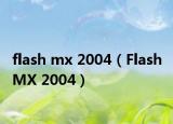 flash mx 2004（Flash MX 2004）