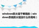 windows防火墙干嘛用的（windows系统防火墙没什么作用吗）