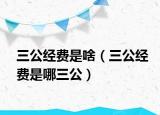三公经费是啥（三公经费是哪三公）