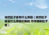 突然肚子疼有什么原因（突然肚子疼是什么原因引起的 怎样缓解肚子疼）
