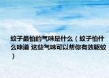 蚊子最怕的气味是什么（蚊子怕什么味道 这些气味可以帮你有效驱蚊）