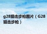 g28狙击步枪图片（G28狙击步枪）