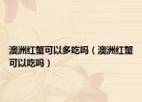 澳洲红蟹可以多吃吗（澳洲红蟹可以吃吗）