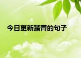 今日更新踏青的句子