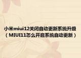 小米miui12关闭自动更新系统升级（MIUI11怎么开启系统自动更新）