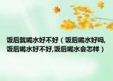 饭后就喝水好不好（饭后喝水好吗,饭后喝水好不好,饭后喝水会怎样）