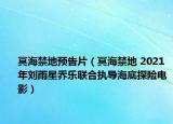 冥海禁地预告片（冥海禁地 2021年刘雨星乔乐联合执导海底探险电影）
