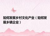 如何发展乡村文化产业（如何发展乡镇企业）