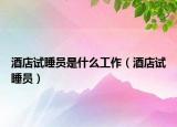酒店试睡员是什么工作（酒店试睡员）