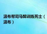 汲布帮司马懿训练死士（汲布）