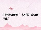 芒种歌词完整（《芒种》歌词是什么）