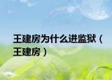 王建房为什么进监狱（王建房）