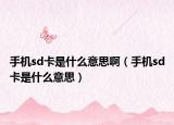 手机sd卡是什么意思啊（手机sd卡是什么意思）