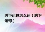 胯下运球怎么运（胯下运球）