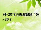 歼-20飞行表演现场（歼-20）