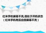红米手机屏幕不亮,但处于开机状态（红米手机有反应但屏幕不亮）