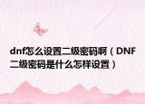 dnf怎么设置二级密码啊（DNF二级密码是什么怎样设置）