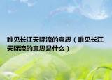 唯见长江天际流的意思（唯见长江天际流的意思是什么）